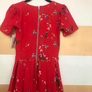 Lularoe Amelia floral dress